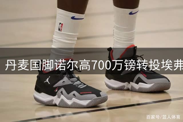 丹麦国脚诺尔高700万镑转投埃弗顿 枪手旧将签两年合约